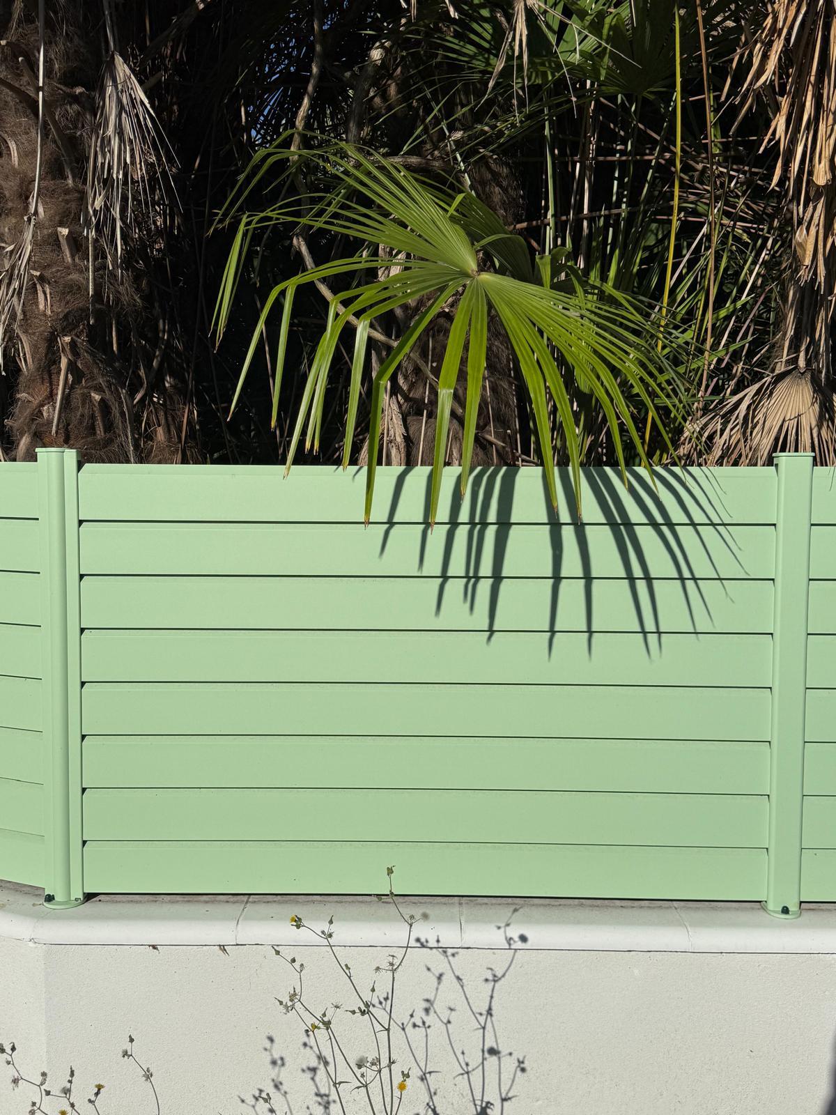 WhatsApp Image 2026-10-06 at 120720 2 | Daulouède Clôtures Mint green horizontal fence with a palm frond hanging over the top, casting long shadows on the panels, tropical plants in the background
